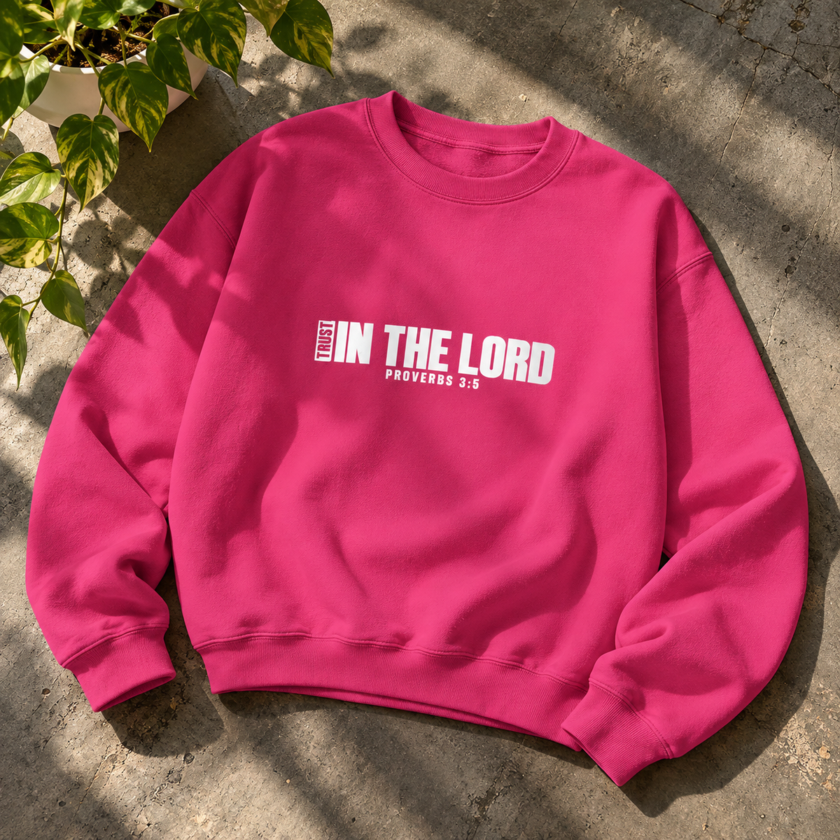 Women's Sweatshirts
