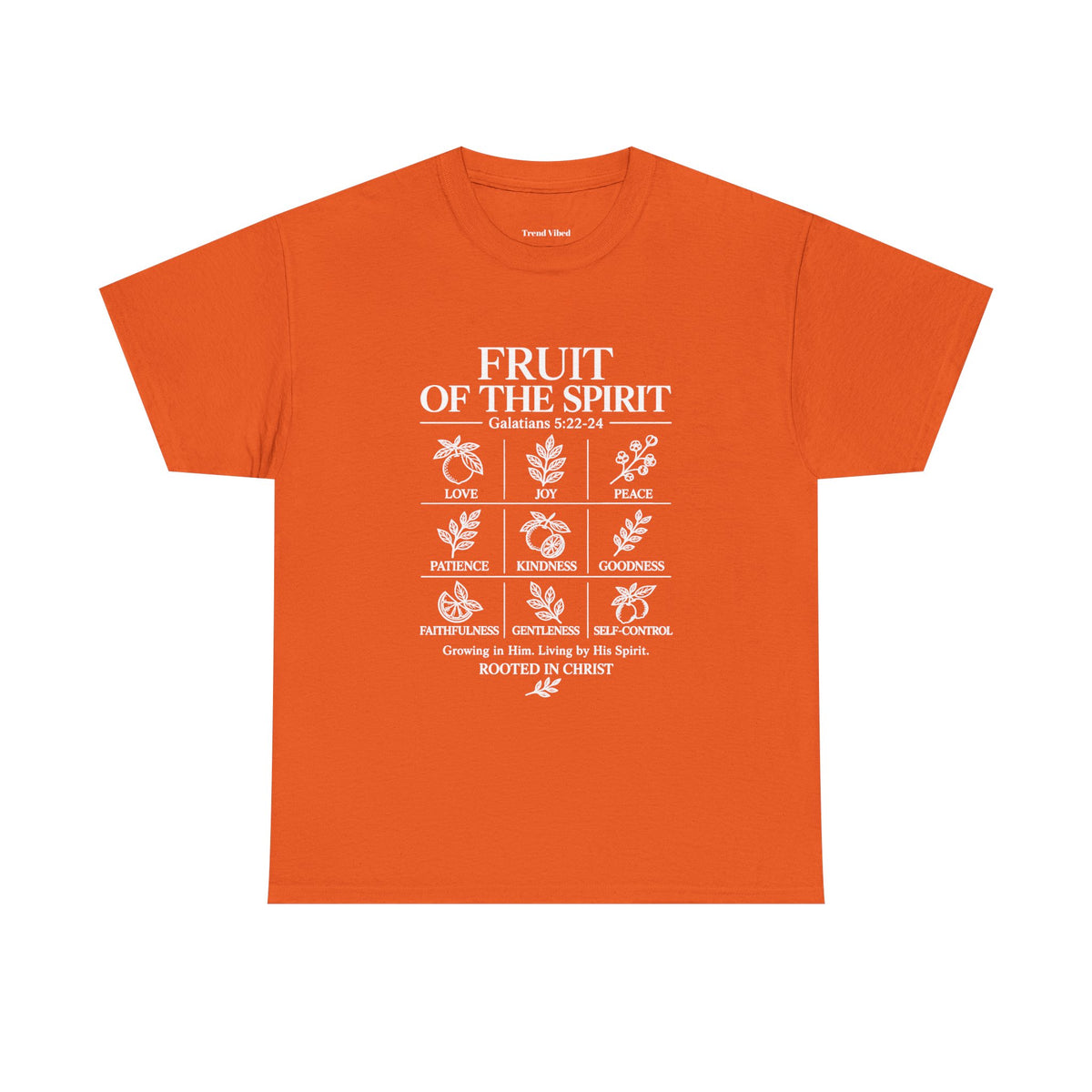 Fruit of the Spirit T-Shirt | Galatians 5:22