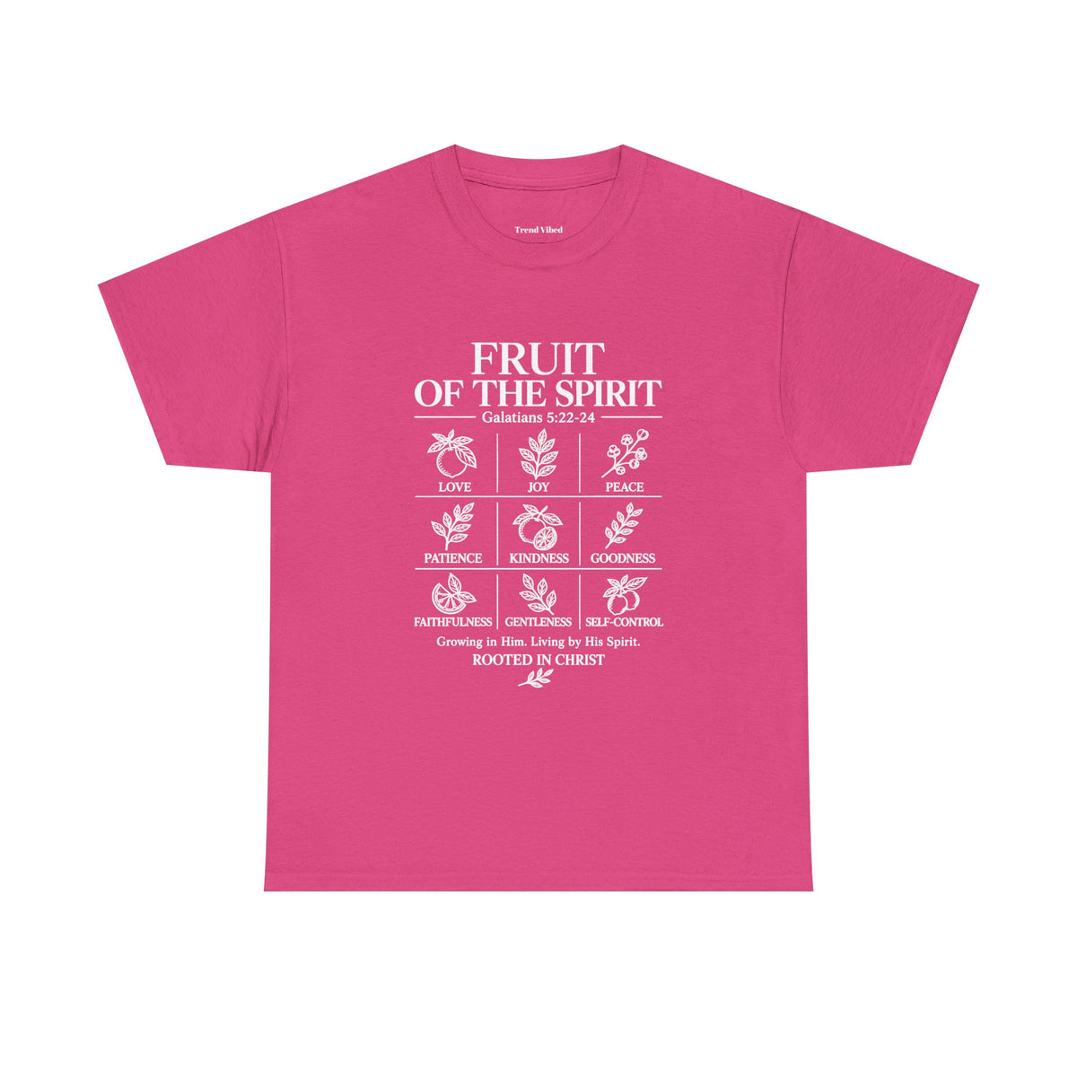 Fruit of the Spirit T-Shirt | Galatians 5:22